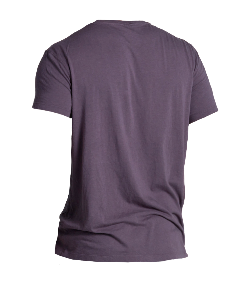 Mens Box Tee Purple Storm Back Mens Box Tee Purple Storm Back